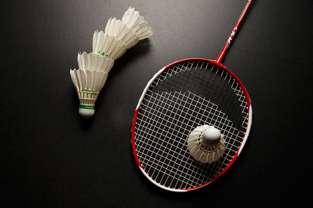 厄德高和马 厄德高和马